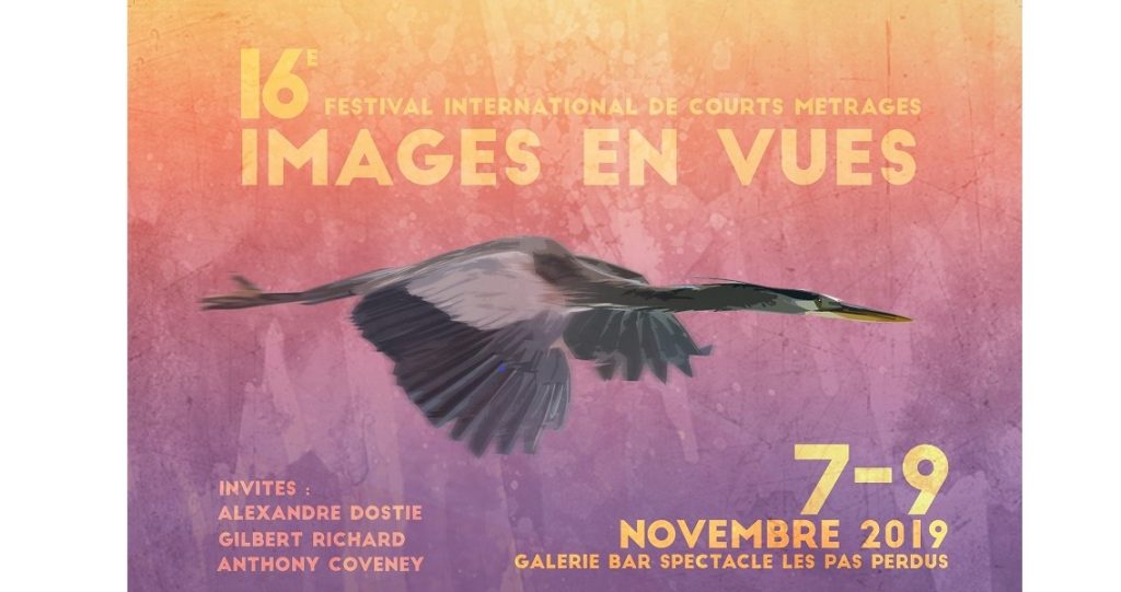 IEV 2019 calendrier