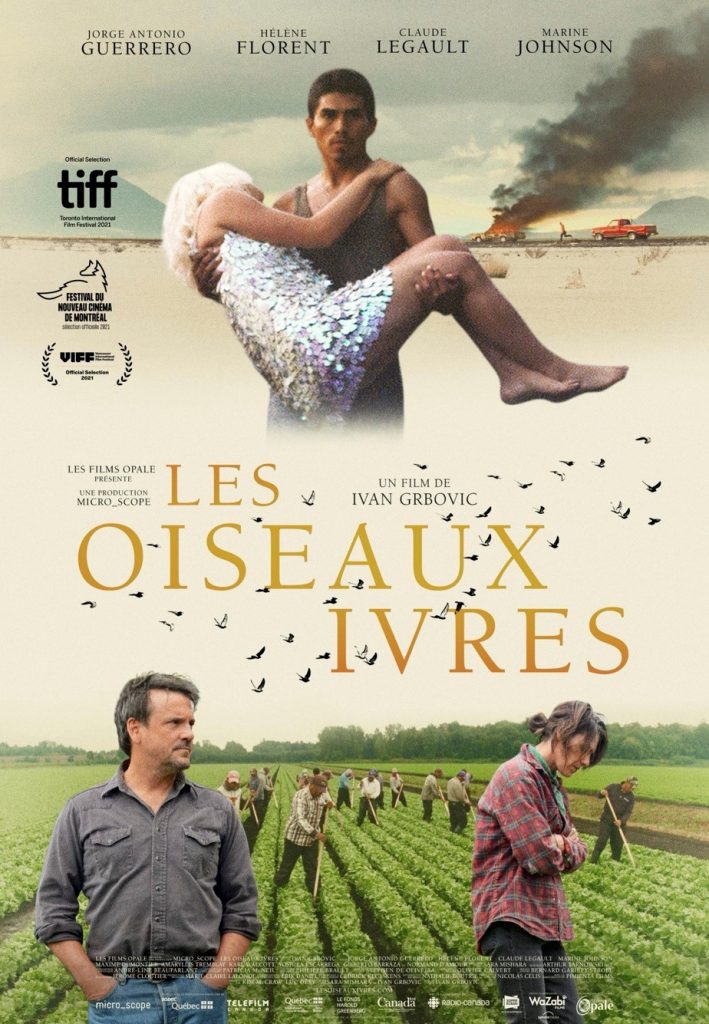 les_oiseaux_ivres_sofilm